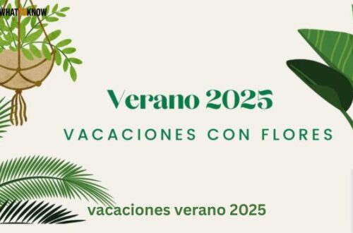 Hogar vacaciones verano 2025