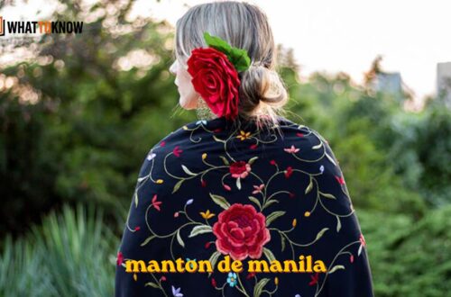 Hogar manton de manila