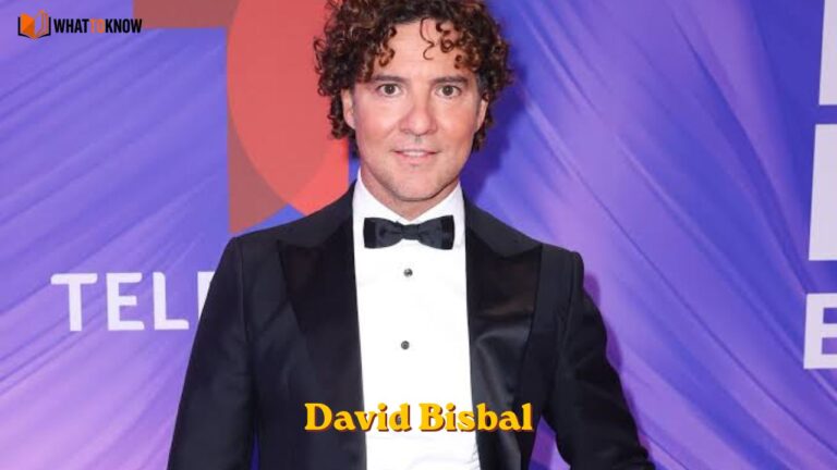 David Bisbal