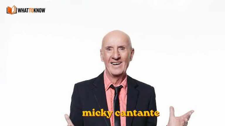 Micky cantante